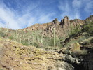 photo thumbnail #15