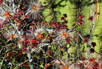 photo thumbnail #4