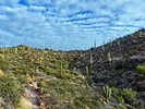 photo thumbnail #12