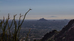 photo thumbnail #9