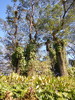 photo thumbnail #10