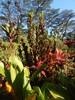 photo thumbnail #12