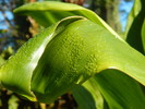 photo thumbnail #6