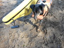 photo thumbnail #13