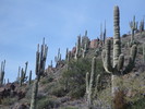 photo thumbnail #15