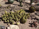 photo thumbnail #4