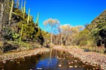 photo thumbnail #5