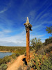photo thumbnail #12