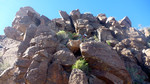photo thumbnail #10