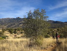 photo thumbnail #2