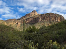 photo thumbnail #4