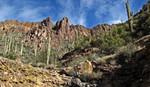 photo thumbnail #10