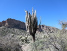 photo thumbnail #2