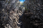 photo thumbnail #14