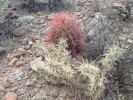 photo thumbnail #6