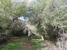 photo thumbnail #7