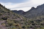 photo thumbnail #5