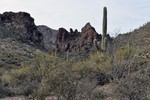 photo thumbnail #11