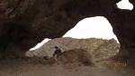 photo thumbnail #7