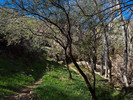 photo thumbnail #8