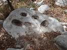 photo thumbnail #5