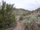 photo thumbnail #11