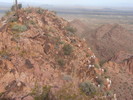 photo thumbnail #5