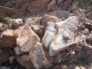photo thumbnail #7