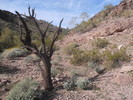 photo thumbnail #9