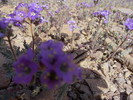 photo thumbnail #12