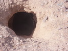 photo thumbnail #13