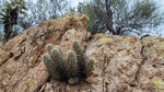 photo thumbnail #11