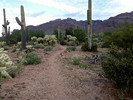 photo thumbnail #9