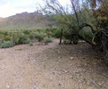 photo thumbnail #12