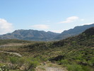 photo thumbnail #5