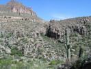 photo thumbnail #11