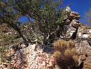 photo thumbnail #5