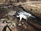 photo thumbnail #8
