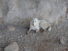 photo thumbnail #13