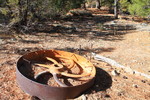 photo thumbnail #1