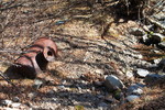 photo thumbnail #2