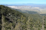 photo thumbnail #8