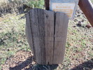 photo thumbnail #1