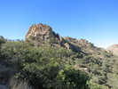 photo thumbnail #7