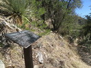 photo thumbnail #15