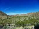 photo thumbnail #5