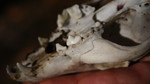 photo thumbnail #14