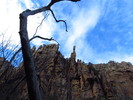 photo thumbnail #2