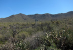 photo thumbnail #15