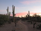 photo thumbnail #3
